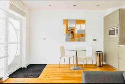 Canary wharf Luxury apartment - image 12