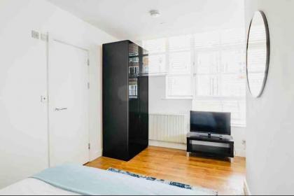 Canary wharf Luxury apartment - image 18