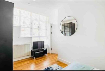 Canary wharf Luxury apartment - image 19