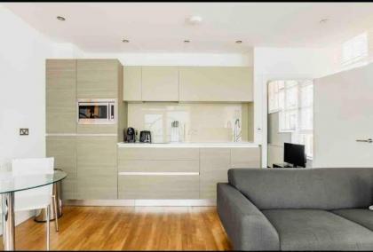 Canary wharf Luxury apartment - image 7