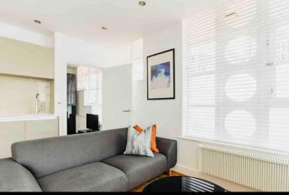 Canary wharf Luxury apartment - image 8