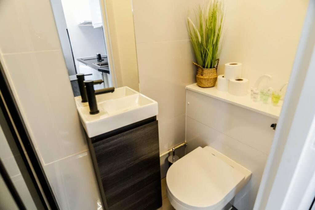 Lovely self contained studio-5 - image 2