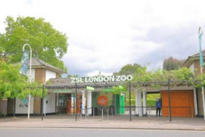 Functional Budget Stay with Wi-Fi and Laundry Facilities near Tube Station - image 18