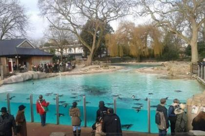 London Double Bedroom Hotel In Tufnell Park With WiFi - image 26