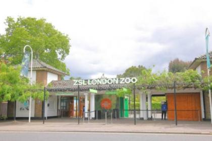 Charming Hotel with Kitchen & Laundry near Tufnell Park - image 23