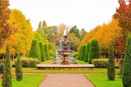 Charming Hotel with Kitchen & Laundry near Tufnell Park - image 27