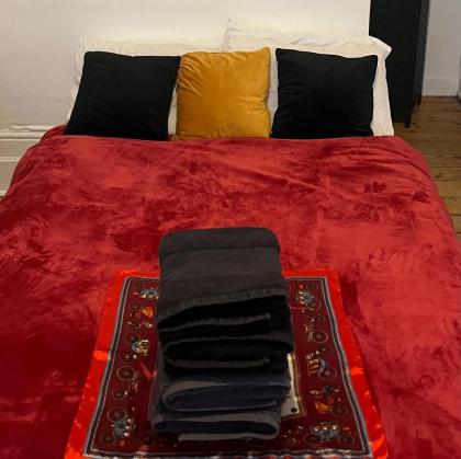 Beautiful and Cozy One Bedroom/ One Bath Central London London