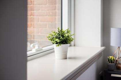 The Kingston Upon Thames Apartments - image 16