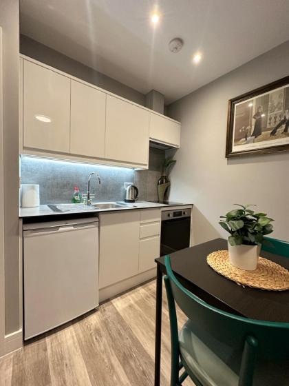 Central London Apartment - IVY - image 4