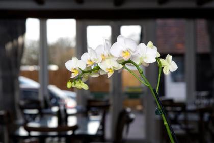 The Maple Manor Hotel - image 13