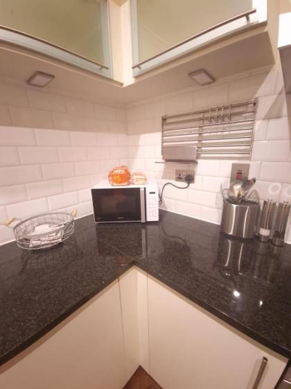 Ravishing Riverside 2-Bed Rental in Canary Wharf - image 22