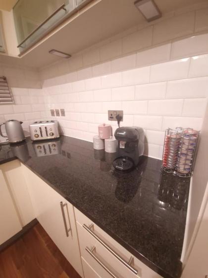 Ravishing Riverside 2-Bed Rental in Canary Wharf - image 27