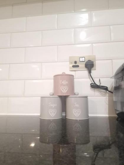 Ravishing Riverside 2-Bed Rental in Canary Wharf - image 30