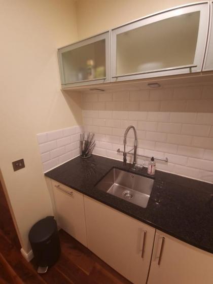 Ravishing Riverside 2-Bed Rental in Canary Wharf - image 4