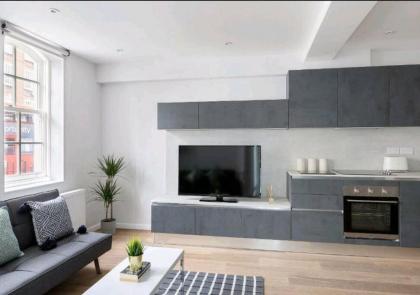 Premier Central London North Apartment - image 10
