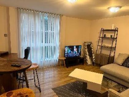 Specious apartment In Canning Town London 