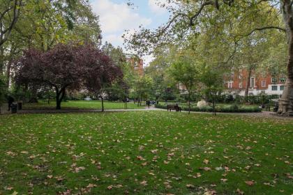 Beautifully presented centrally located studio apartment - image 8