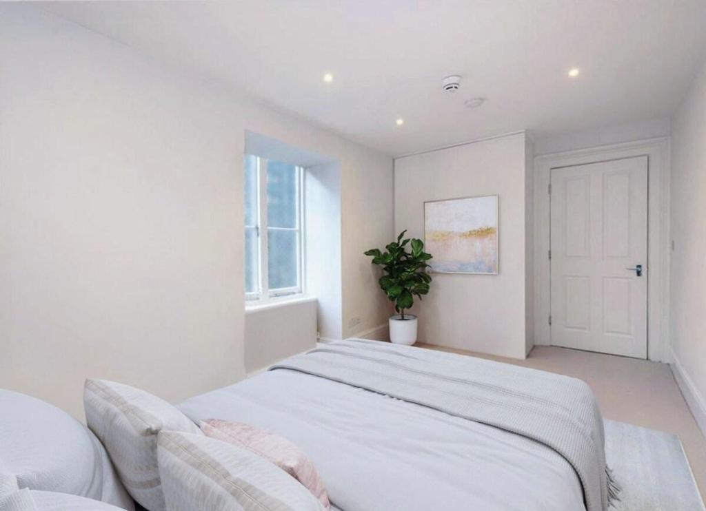 Charming & Delightful in Mayfair - image 4