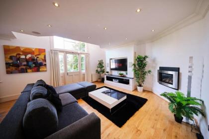 Pluxa Ebony Suite - image 10